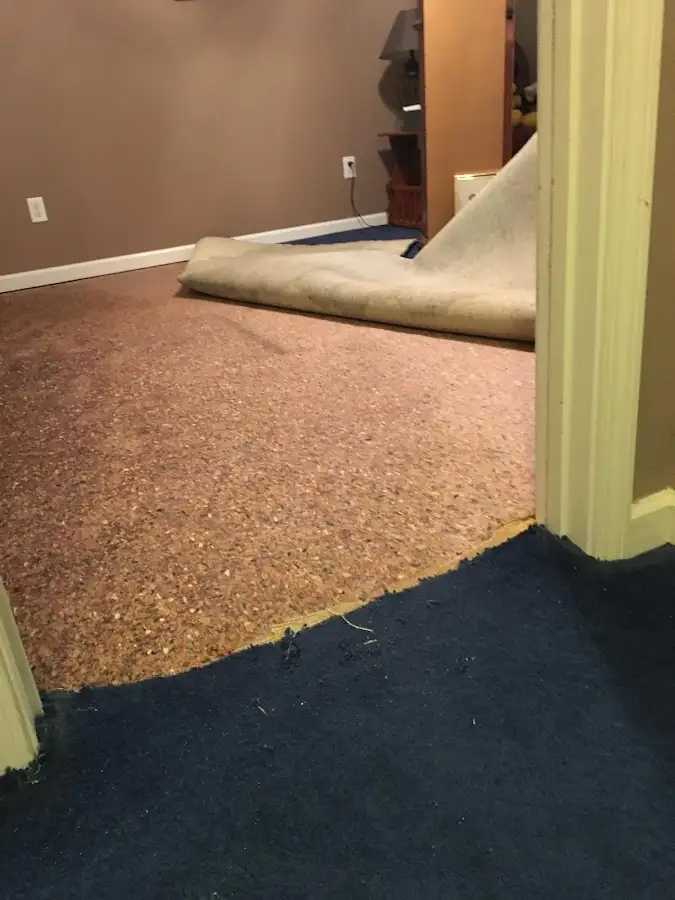 Carpet pad removal revealing water damage during Drying & Dehumidification in Marquette