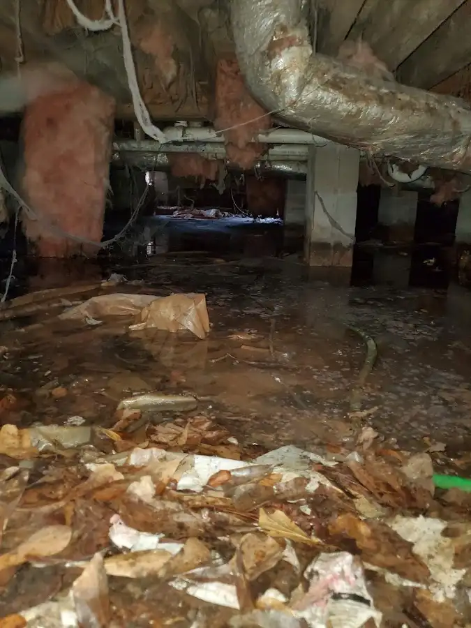Crawl space flood assessment for Leak Detection & Repair in Marquette